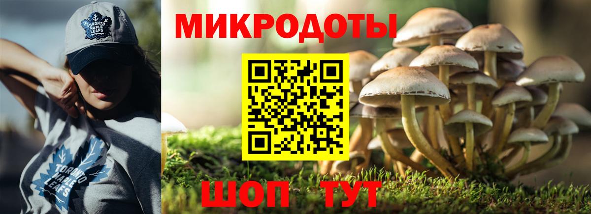 Псилоцибиновые грибы мухоморы Ярцево