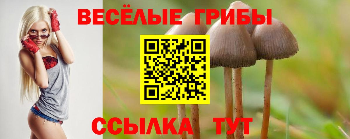 Псилоцибиновые грибы MAGIC MUSHROOMS  Вход с VPN  Ярцево 